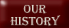 Nosferatu Akitas - UK Akita Breeders - Our History