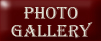 Nosferatu Akitas - UK Akita Breeders - Photo Gallery