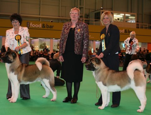 Nosferatu Akitas wining dog and bitch RCCs at Crufts 2009